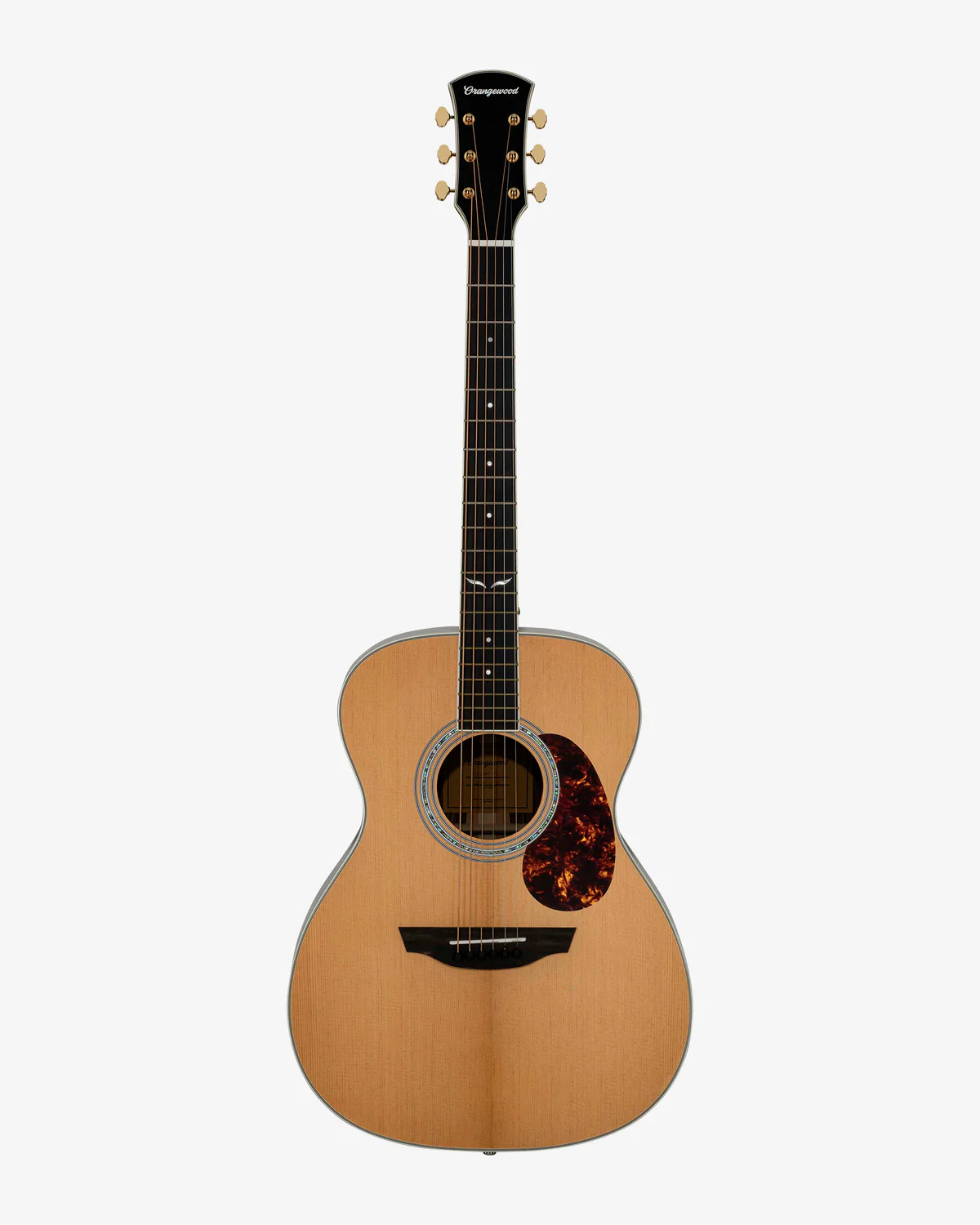 Acoustic Guitar